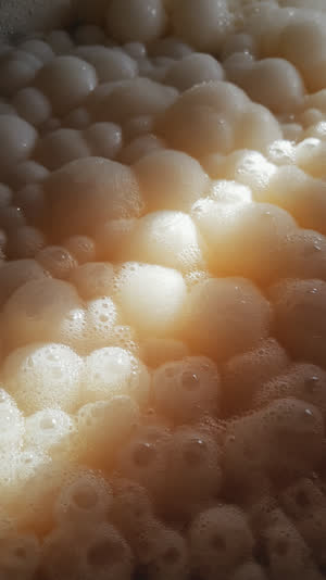 Extreme macro of crumbled koji rice grains, chalky white interiors and powdery fragments, dramatic raking light, shallow focus