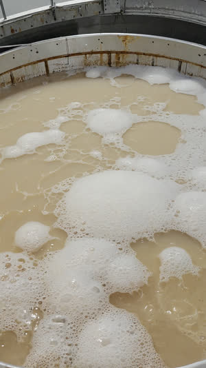 Barley malt grains scattered beside a glass of amber beer, golden tones, condensation on the glass, warm side light