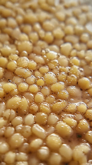 Extreme macro of damp rice bran surface with tiny fermentation bubbles rising through it, granular organic texture, shallow depth of field, soft directional light