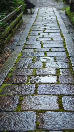 Kyoto stone-paved lane freshly sprinkled with water, glistening cobbles and moss edges, cared-for texture