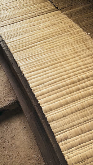 Overhead view of a genkan boundary, gritty earthen floor below and immaculate tatami weave above a wooden edge, split composition, natural light