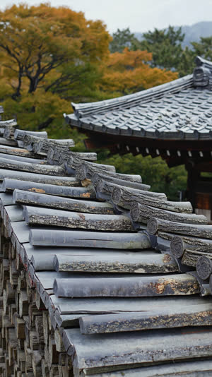 Close-up of a Japanese hiwadabuki cypress-bark roof, many thin layers of dark brown bark stacked in fine horizontal courses forming a thick clean edge, temperate Japanese…