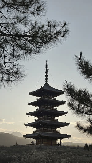 A five-story wooden pagoda silhouette against a pale sky seen through swaying pine branches, serene, photorealistic documentary photograph, natural soft light, muted realistic…