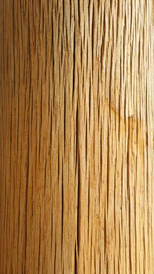 Extreme close-up of a plain smooth cypress temple pillar surface, fine straight grain and centuries of weathering, completely unadorned bare wood, no carving, no inscription,…
