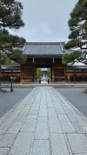 The wide stone approach path leading to an ancient Japanese temple gate, pine trees either side, welcoming daylight, photorealistic documentary photograph, natural soft light,…