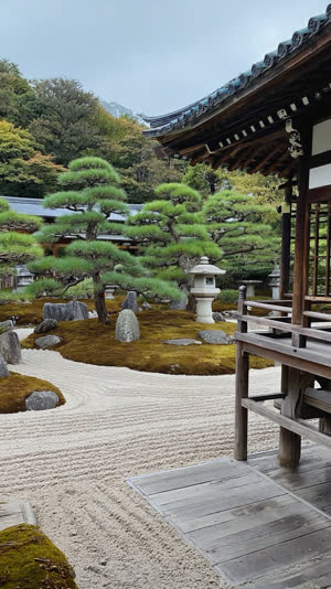 View from a wooden temple veranda toward a composed Japanese garden, the veranda edge framing the scene, contemplative angle, photorealistic documentary photograph, natural soft…