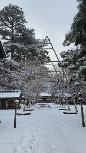A snow-covered Japanese garden in soft morning light, pines standing under yukitsuri rope cones, fresh snow on ropes and branches, calm white scene, photorealistic documentary…