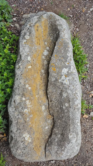 Close-up of a garden stone's textured face, light grazing across its planes and hollows like an expression, photorealistic documentary photograph, natural soft light, muted…