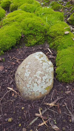 A garden stone set deep into moss and earth so it appears to have always been there, grounded and inevitable, photorealistic documentary photograph, natural soft light, muted…