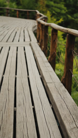 Worn smooth wooden veranda boards in the foreground with a softly blurred green garden beyond, contemplative perspective, photorealistic documentary photograph, natural soft…