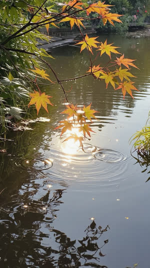 Sunlight shimmering on a garden pond with gentle ripples and swaying maple leaves, the garden in quiet motion, photorealistic documentary photograph, natural soft light, muted…