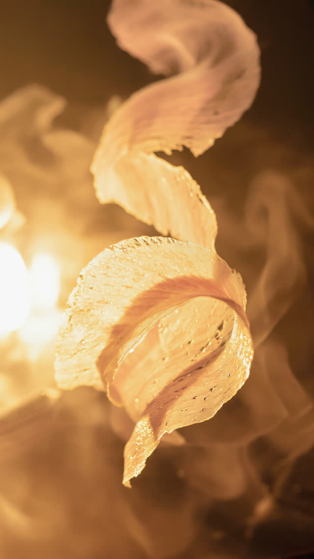 Paper-thin katsuobushi shavings drifting and curling in hot clear dashi broth, translucent pink flakes caught mid-motion, rising steam, warm backlight, close-up