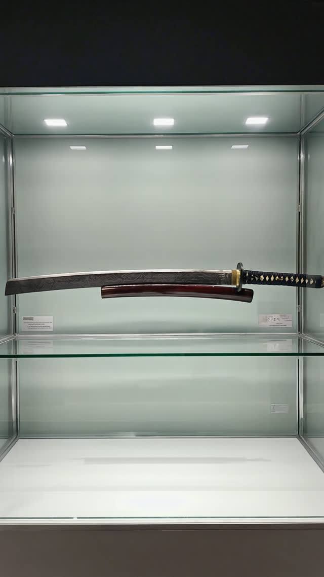 Katana blade displayed in a glass museum case, precise gallery lighting tracing the curve and steel grain, dark exhibition hall, reverent atmosphere