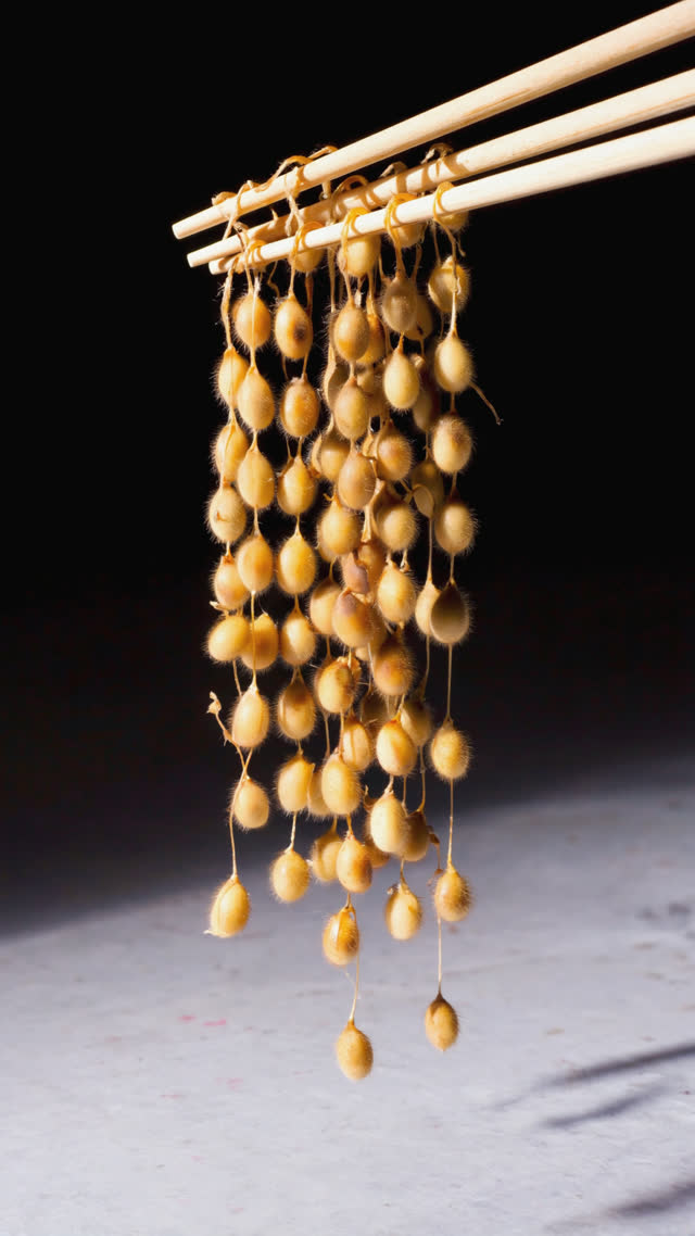 Overhead macro of fermented soybeans in a small bowl, glossy white sticky film coating each bean, rich brown tones, soft diffused light, appetizing texture detail