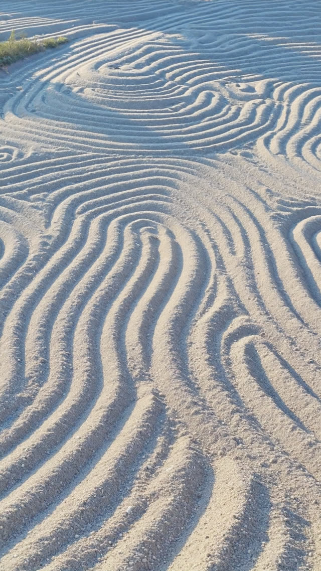 Close-up of white raked gravel waves in a Japanese dry garden, ripple lines like a frozen ocean, soft directional light, photorealistic documentary photograph, natural soft…